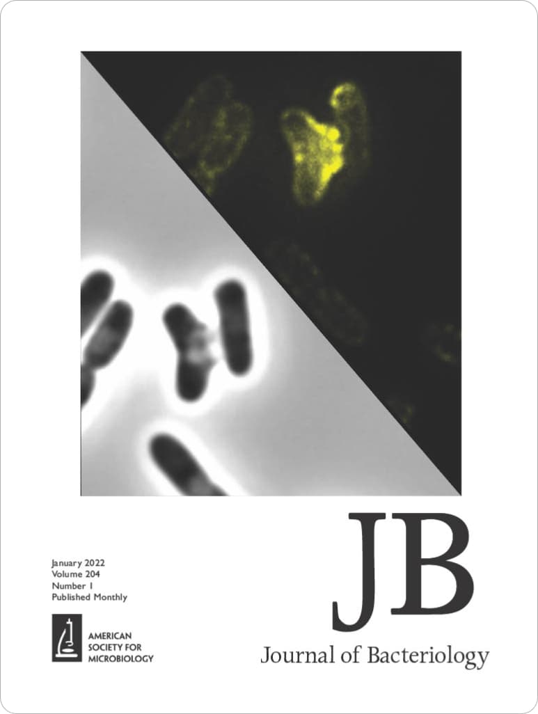Publication Image